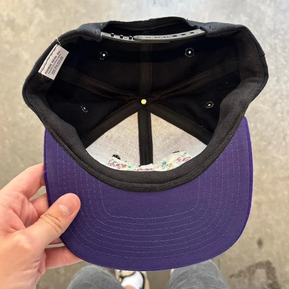 Vintage‎ 90's 1993 The Worlds of Intel Summer Tour Snapback Hat